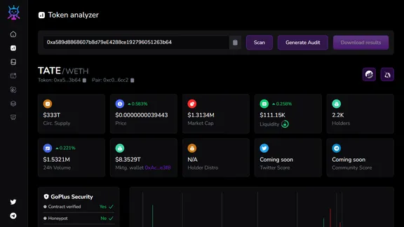 Screenshot of the Token Analyzer page